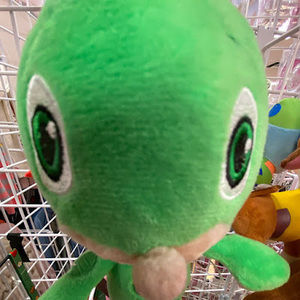 Meet your Posher, Khadija